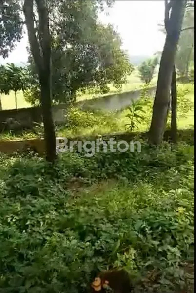 image DIJUAL TANAH SUBUR AREA PARUNG OANJANG BOGORJ (2)