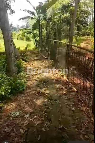 image DIJUAL TANAH SUBUR AREA PARUNG OANJANG BOGORJ (3)