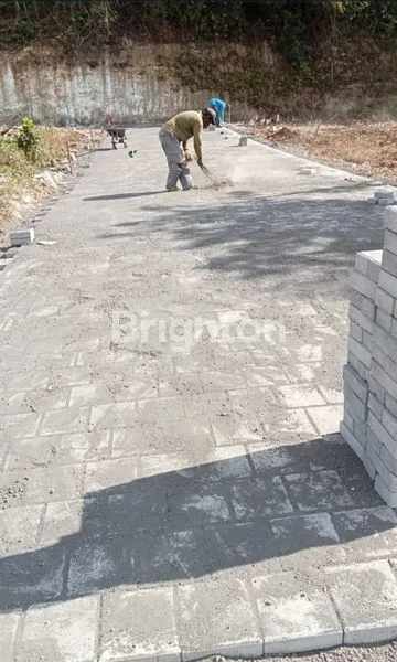 image TANAH KAVLING UNGASAN, SHM, VIEW TEBING (2)