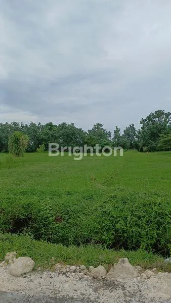 image TANAH KAVLING TABANAN 300M DARI PANTAI (3)