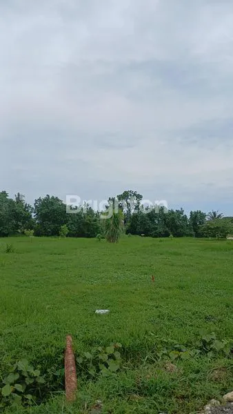 image TANAH KAVLING TABANAN 300M DARI PANTAI (4)