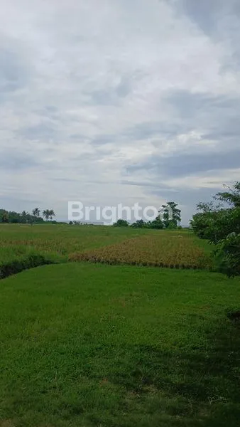 image TANAH KAVLING TABANAN 300M DARI PANTAI (6)