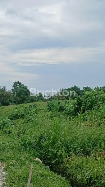 image TANAH KAVLING TABANAN 300M DARI PANTAI (8)