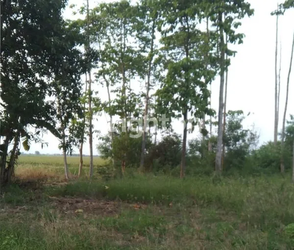 INVESTASI TANAH 1.507M² DI BEKASI, HARGA TERJANGKAU