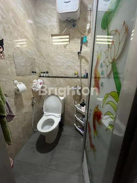 image GOLDEN PALM (6)