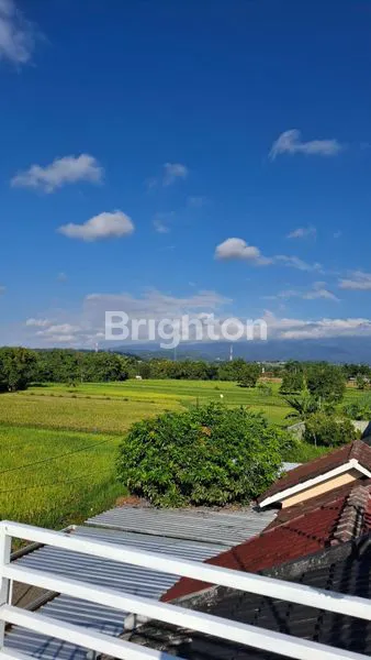 image RUMAH 2LT VIEW PEGUNUNGAN KEDIRI (3)