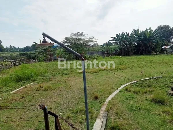 image JUAL GUDANG KEL KLAMBIR KEC HAMPARAN PERAK KAB DELI SERDANG SUMUT (7)