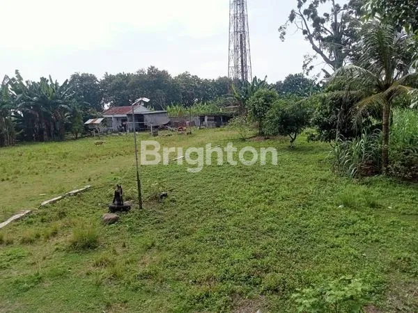 image JUAL GUDANG KEL KLAMBIR KEC HAMPARAN PERAK KAB DELI SERDANG SUMUT (6)