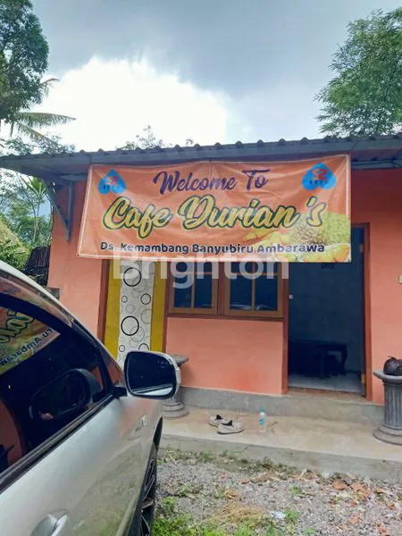 image JUAL TANAH KEBUN LUAS BONUS ANEKA TANAMAN BANYUBIRU (7)