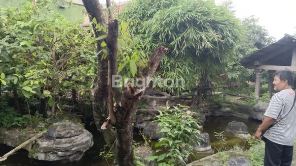 image VILLA MEWAH DI JERUKSAWIT, BONUS GUDANG, BONUS WALET  DENGAN PEMANDANGAN  ALAM YANG LUAR BIASA (5)