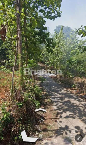 image TANAH LUAS 250M², COCOK USAHA TERNAK AYAM  (2)