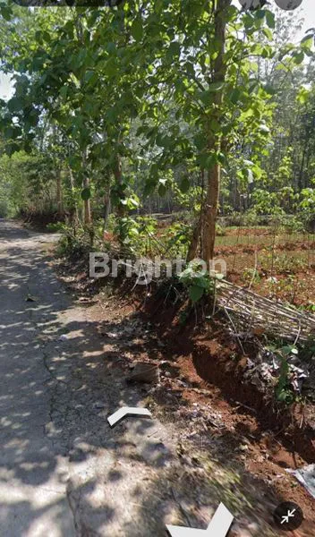 image TANAH LUAS 250M², COCOK USAHA TERNAK AYAM  (1)