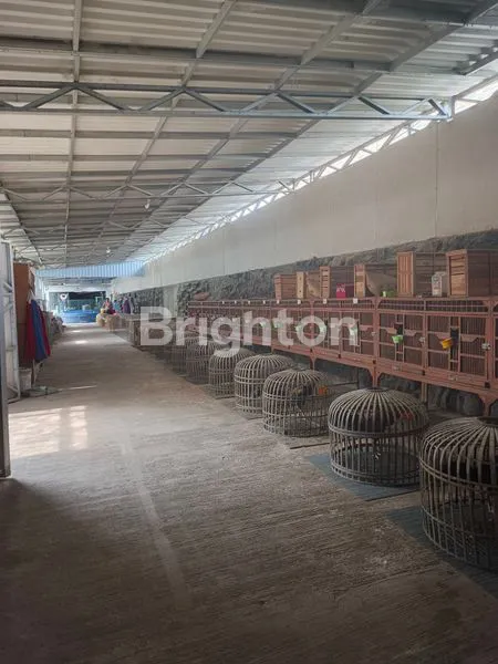 image RUMAH MEWAH DAN BESAR DI  CITRA RAYA CIKUPA  TANGERANG (7)