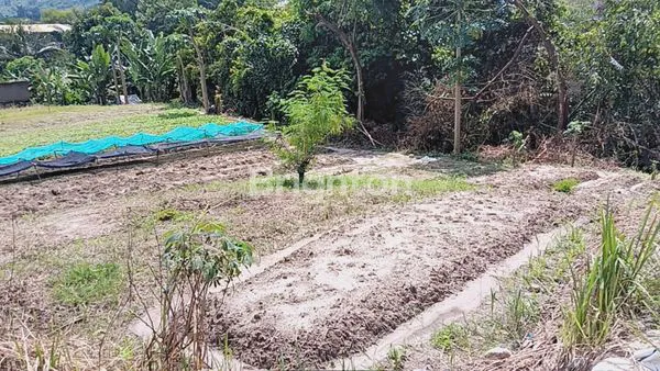 image TANAH 1200 M2 TIRTAYASA SUKABUMI (3)