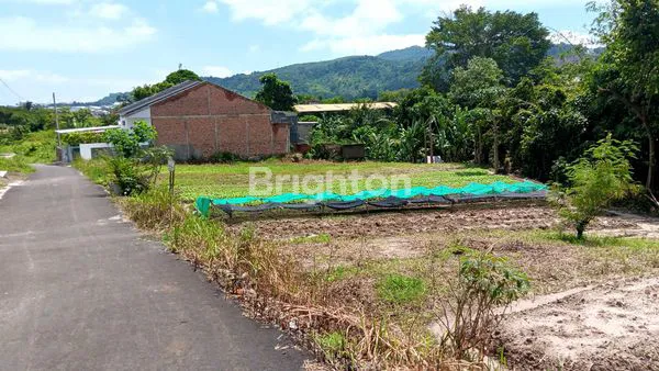 image TANAH 1200 M2 TIRTAYASA SUKABUMI (5)