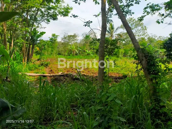 image TANAH KAVLING SIAP BANGUN DI JL. BARAN, LESANPURO – AKSES MUDAH & LINGKUNGAN TENANG (4)