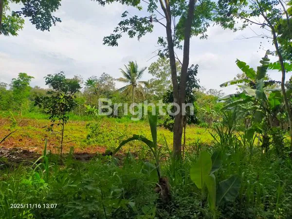 image TANAH KAVLING SIAP BANGUN DI JL. BARAN, LESANPURO – AKSES MUDAH & LINGKUNGAN TENANG (2)