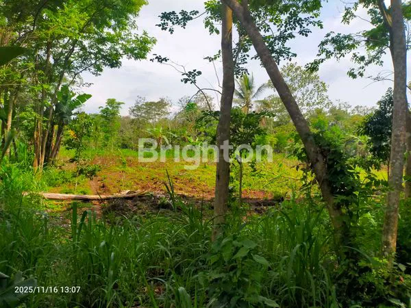 image TANAH KAVLING SIAP BANGUN DI JL. BARAN, LESANPURO – AKSES MUDAH & LINGKUNGAN TENANG (3)
