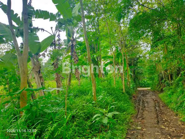 image TANAH KAVLING SIAP BANGUN DI JL. BARAN, LESANPURO – AKSES MUDAH & LINGKUNGAN TENANG (6)