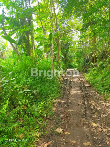 image TANAH KAVLING SIAP BANGUN DI JL. BARAN, LESANPURO – AKSES MUDAH & LINGKUNGAN TENANG (7)