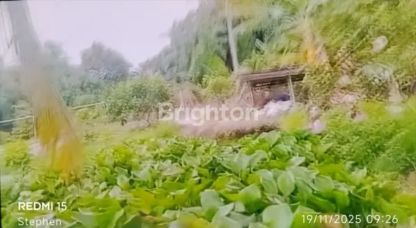 image LAHAN TANJUNG BALAI KARIMUN. LUAS 4 HA. VIEW SINGAPORE. TANJUNG BALAI KARIMUN. (4)