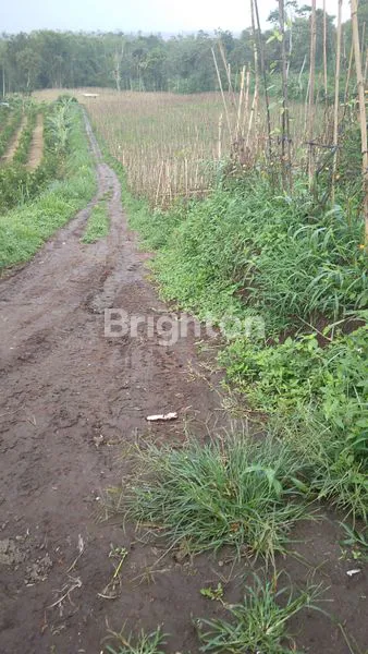 image TANAH PREMIUM PROSPEKTIF KOTA MALANG - BATU AKSES WISATA  SKYLAND, HOTEL BINTANG 5, AREA VILLA (3)