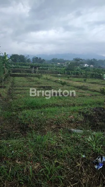 image TANAH PREMIUM PROSPEKTIF KOTA MALANG - BATU AKSES WISATA SKYLAND,HOTEL BINTANG 5,AREA VILLA (1)