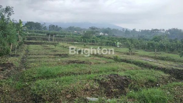 image TANAH PREMIUM PROSPEKTIF KOTA MALANG - BATU AKSES WISATA SKYLAND,HOTEL BINTANG 5,AREA VILLA (4)