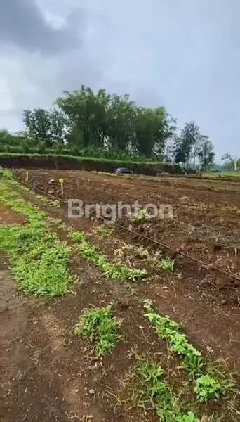 image TANAH KAPLING SIAP BANGUN PREMIUM  PERMATA ARJUNA TAWANG ARGO MALANG VIEW KOTA BATU  AKSES WISATA SKYLAND ,HOTEL BINTANG 5, AREA VILLA (4)