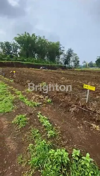 image TANAH KAPLING SIAP BANGUN PREMIUM  PERMATA ARJUNA TAWANG ARGO MALANG VIEW KOTA BATU  AKSES WISATA SKYLAND ,HOTEL BINTANG 5, AREA VILLA (7)