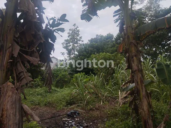 image TANAH LUAS 456M² DI JL. KEBANGKITAN NASIONAL (4)