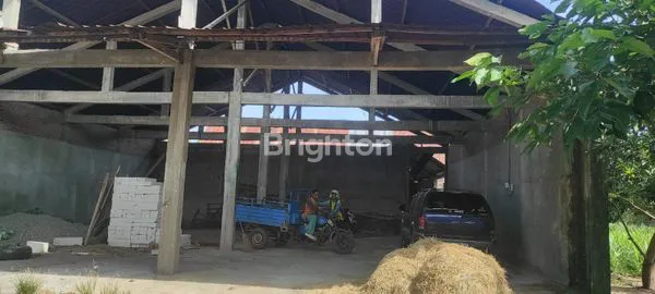 image TANAH PERKEBUNAN SELUAS 4000 M², AKSES MUDAH (5)