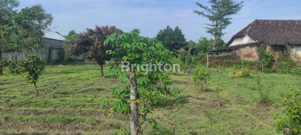 image TANAH PERKEBUNAN SELUAS 4000 M², AKSES MUDAH (2)