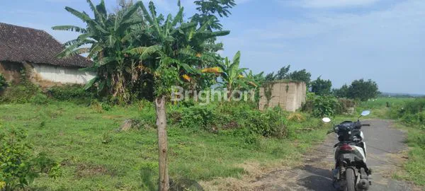 image TANAH PERKEBUNAN SELUAS 4000 M², AKSES MUDAH (4)