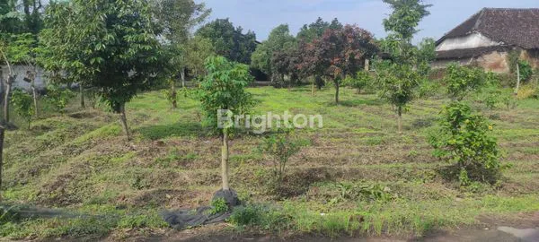 TANAH PERKEBUNAN SELUAS 4000 M², AKSES MUDAH