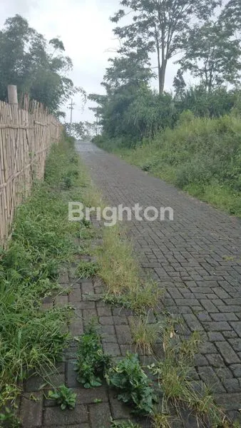 image TANAH PREMIUM PROSPEKTIF VIEW KOTA BATU  DI  MALANG AKSES WISATA ,SKYLAND,HOTEL BINTANG 5,AREA VILLA (3)