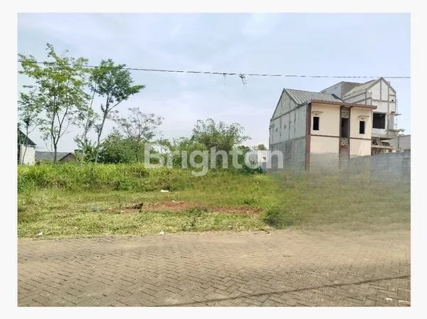 image TANAH MURAH TIRTOMOYO PAKIS (1)