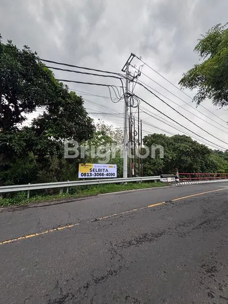 image JUAL TANAH 1,1 HEKTAR DI TEJAKULA, SINGARAJA (4)