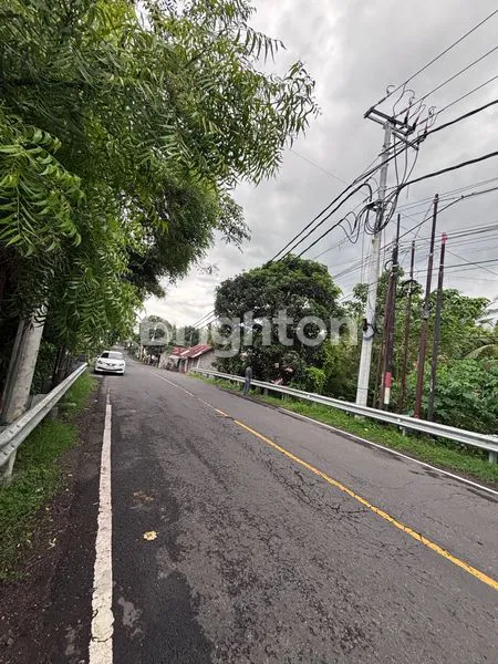 image JUAL TANAH 1,1 HEKTAR DI TEJAKULA, SINGARAJA (3)