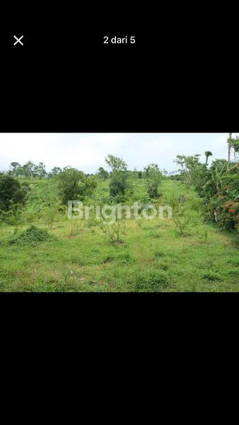 image TANAH STRATEGIS (2)