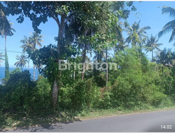 image LAHAN PREMIUM SHM 13.150M², HANYA 180 JUTA/ARE (5)