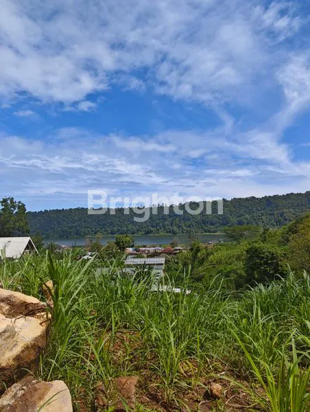 image TANAH  2 KAVLING MASING2 @950 METER VIEW PEGUNUNGAN – PANCASARI DEKAT BEDUGUL  BALI\\\\U2728\\\\N (2)