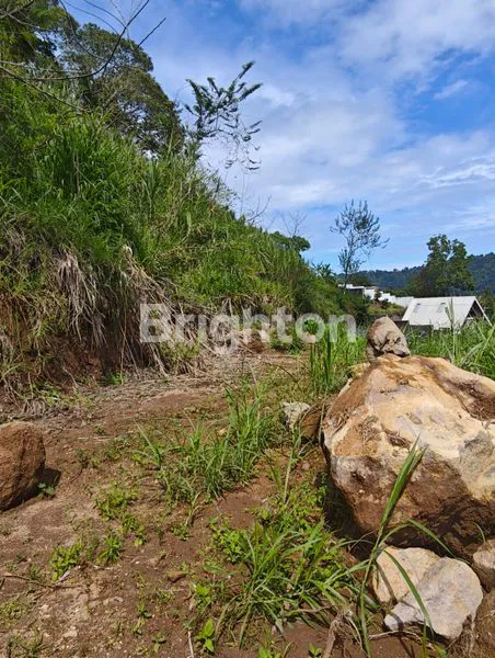 image TANAH  2 KAVLING MASING2 @950 METER VIEW PEGUNUNGAN – PANCASARI DEKAT BEDUGUL  BALI\\\\U2728\\\\N (4)