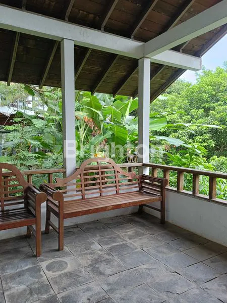 image RUMAH TINGGAL MIRIP VILLA DENGAN HALAMAN LUAS DAN RIMBUN DI SRONDOL KULON SEMARANG SELATAN (5)