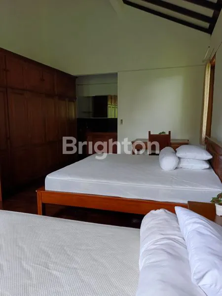 image RUMAH TINGGAL MIRIP VILLA DENGAN HALAMAN LUAS DAN RIMBUN DI SRONDOL KULON SEMARANG SELATAN (3)