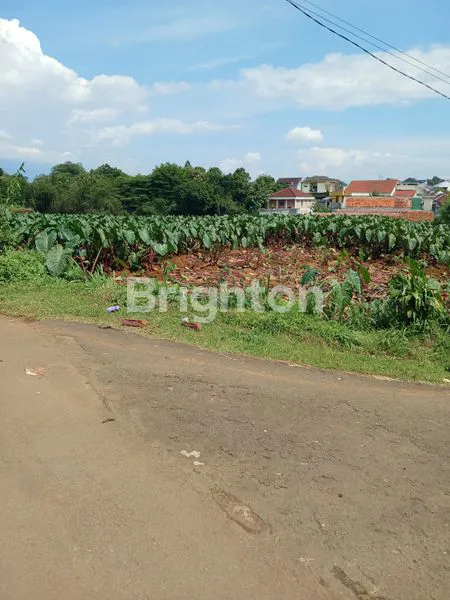 image DIJUAL SEGERA TANAH SENTUL- BOGOR GHANA BU (2)