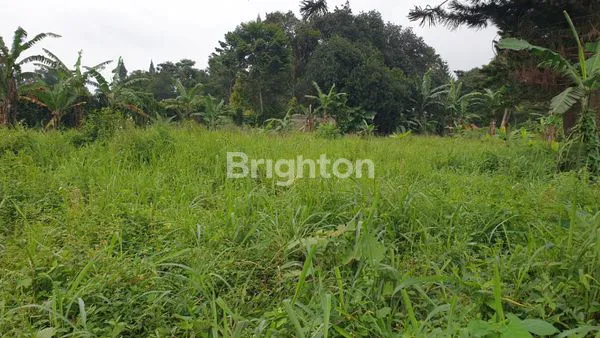 image LAHAN CISARUA, BOGOR - JAWA BARAT ±2HA (2)