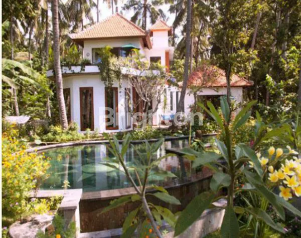 image INVESTASI VILLA SERAYA 2000M² SHM (5)