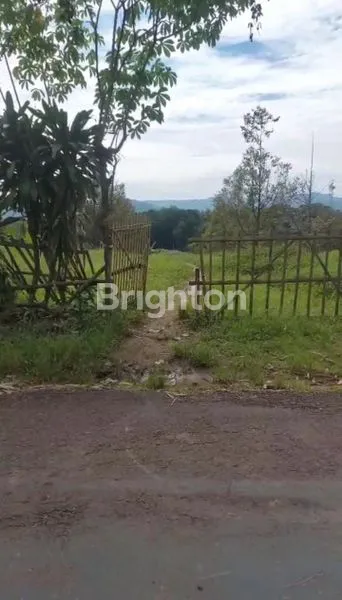 image TANAH KEBUN DURIAN MURAH MERIAH BOGOR (6)