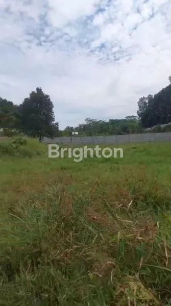 image TANAH KEBUN DURIAN MURAH MERIAH BOGOR (7)